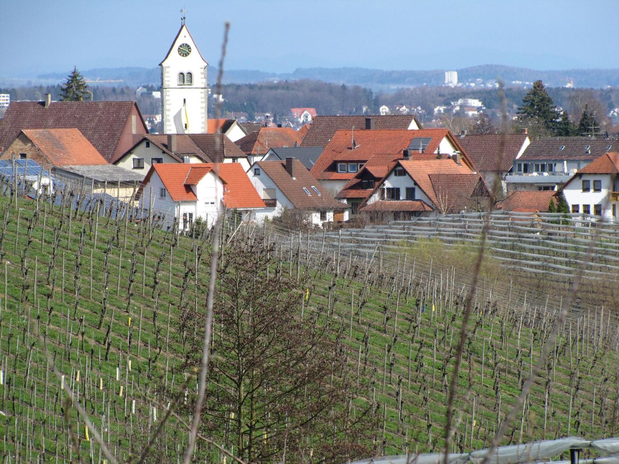 Obst- Ferienhof Ragg Immenstaad am Bodensee Exteriör bild