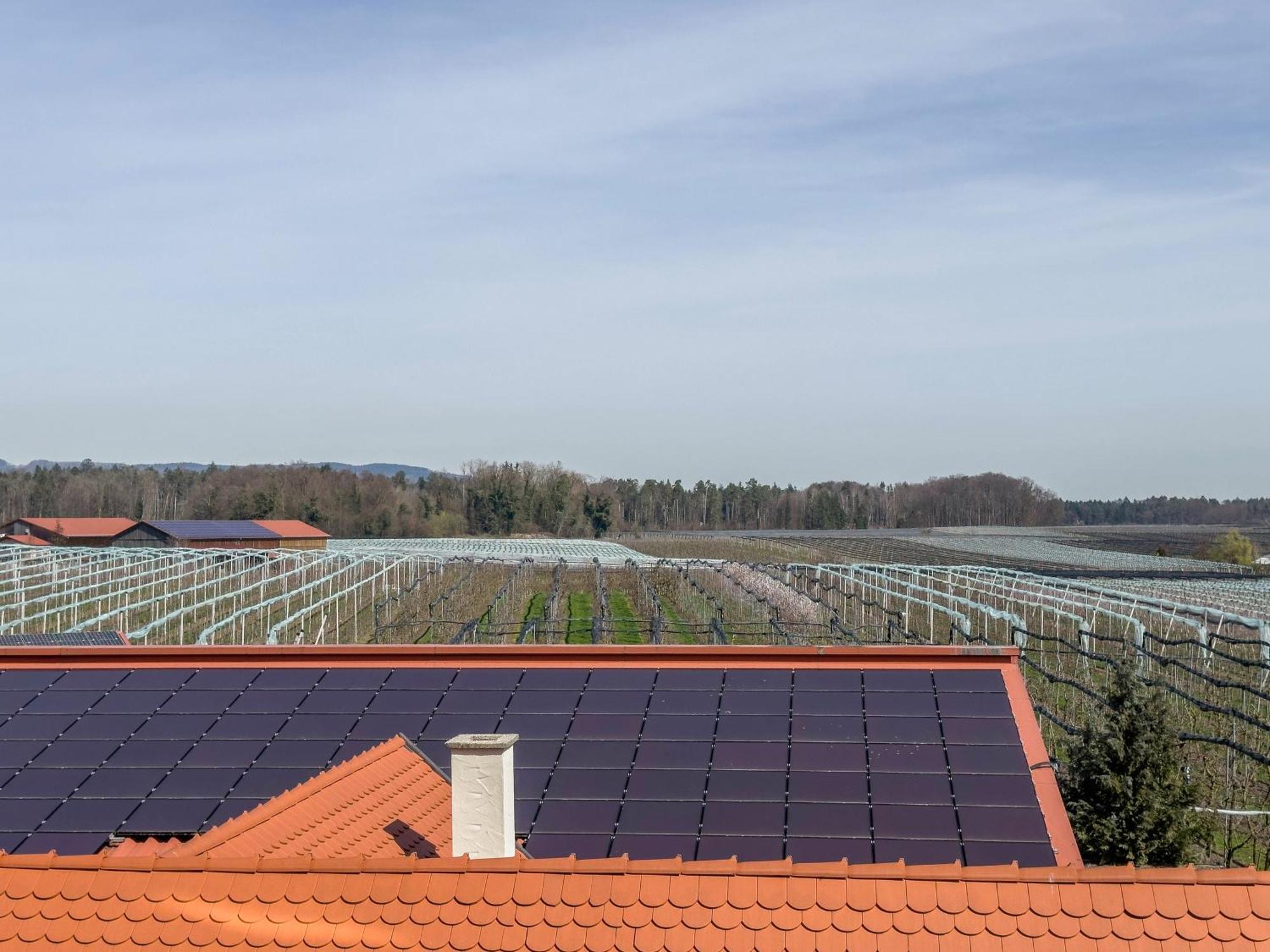 Obst- Ferienhof Ragg Immenstaad am Bodensee Exteriör bild