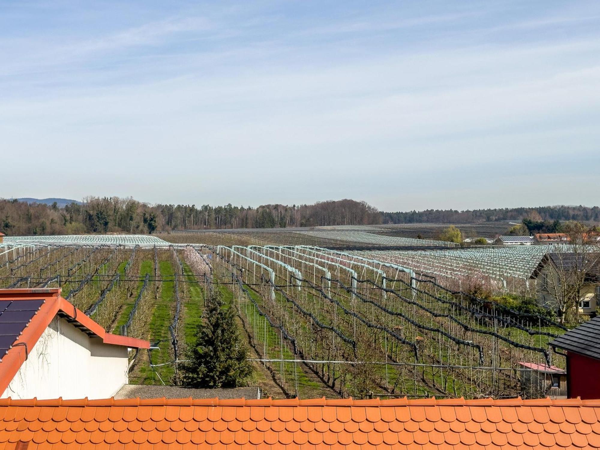 Obst- Ferienhof Ragg Immenstaad am Bodensee Exteriör bild